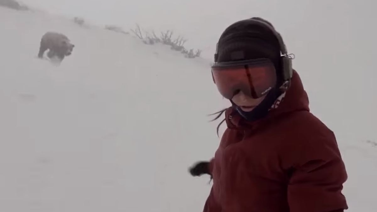 Real Oder Fake Snowboarderin Wird Von B r Gejagt N tv de real-oder-fake-snowboarderin-wird-von-b-r-gejagt-n-tv-de