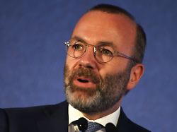 Manfred Weber: Scholz' Zurückhaltung bei Waffenlieferungen blockiert Europa