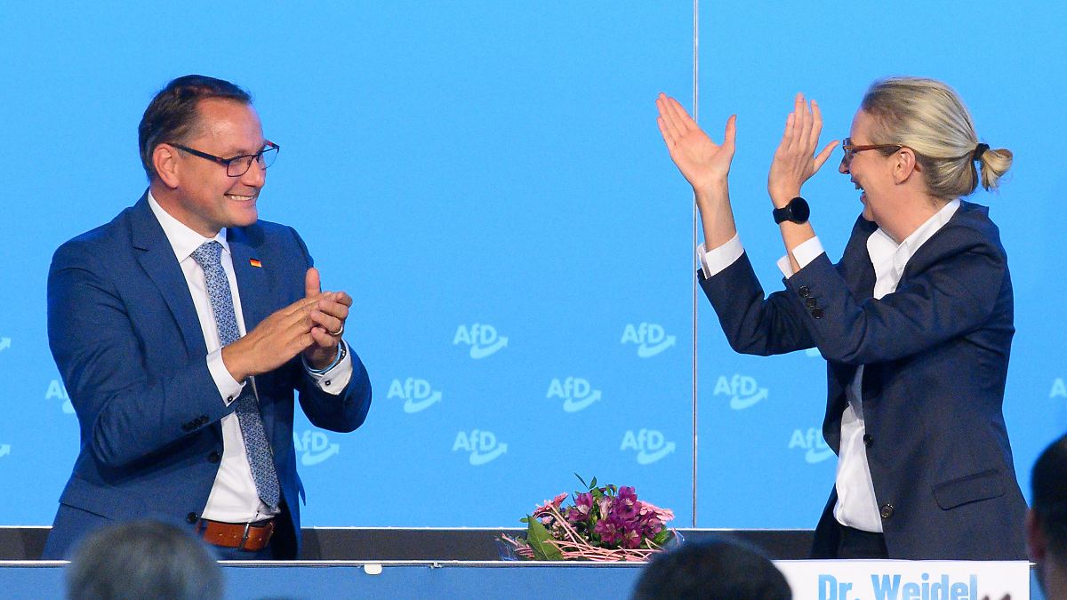 RTL/ntv-Trendbarometer: AfD bleibt auf dem zweiten Platz, Merz verliert