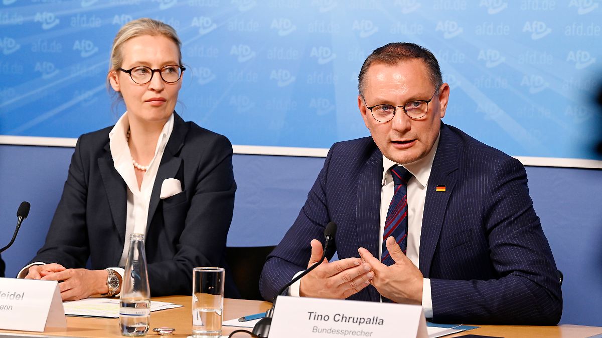 AfD will nur noch einen Parteichef - Chrupalla oder Weidel müssten dann aufhören - n-tv.de