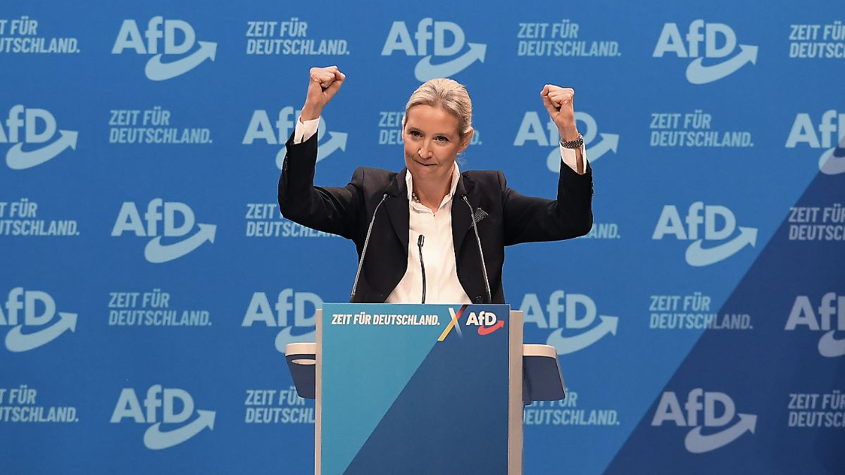 RTL/ntv trend barometer: AfD jumps to 20 percent after Weidel's Hitler ...