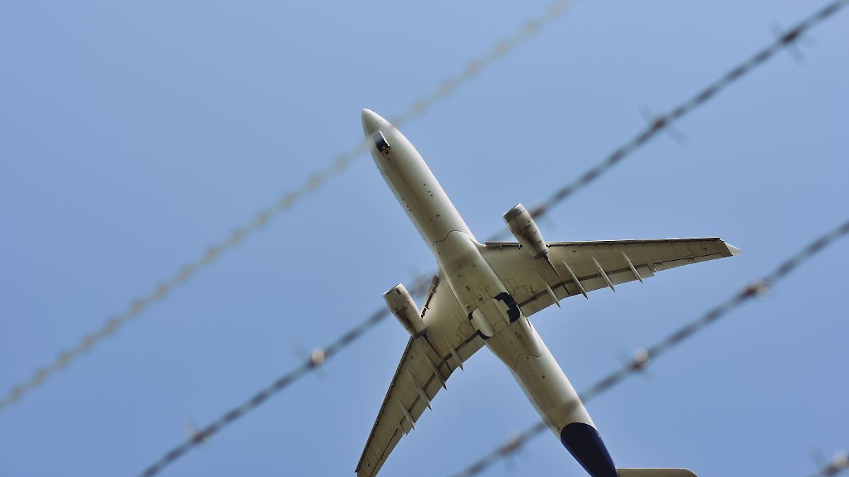 Scholz wants to make a statement: Government plans deportation flight to ...