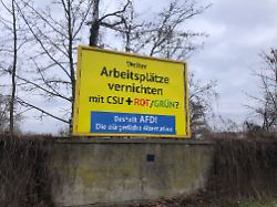Millionenschwere Sachspende: Österreichischer AfD-Gönner stellt umstrittene Plakate auf