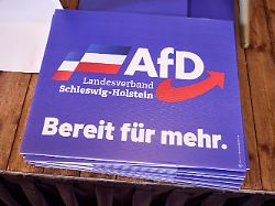 Partei reagiert: Staatsschutz ermittelt nach Drohbriefen mit AfD-Logo