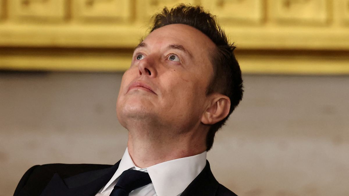 Ashley St. Claire will Mutter von Musks 13. Kind sein