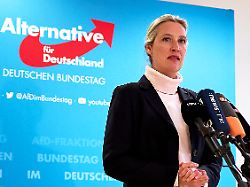 Geld komme aus Privatvermögen: AfD bestreitet Strohmann-Vorwurf um Millionenspende