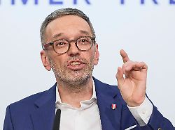 Wenig Aussicht auf Erfolg: FPÖ will über Neuwahlen in Österreich abstimmen lassen