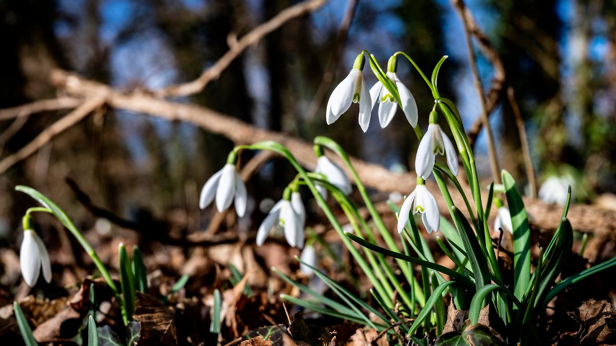 Der Frühling ist da - nur noch nicht in jeder Hinsicht