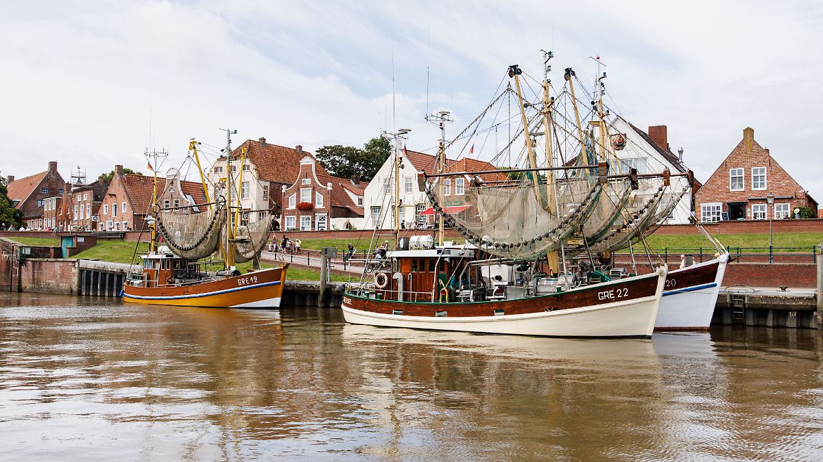 Krabbenfang bricht ein - mehr Miesmuscheln