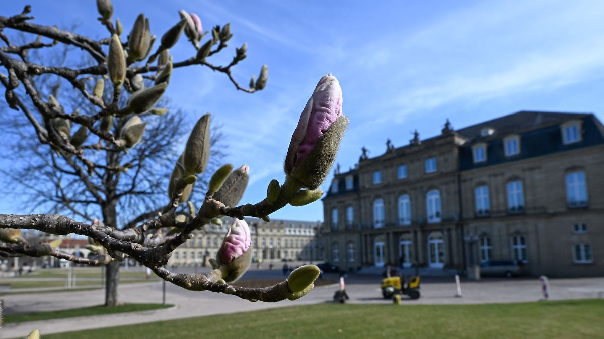 Nach dem Schmuddel-Winter kommt das sonnige Frühlingshoch