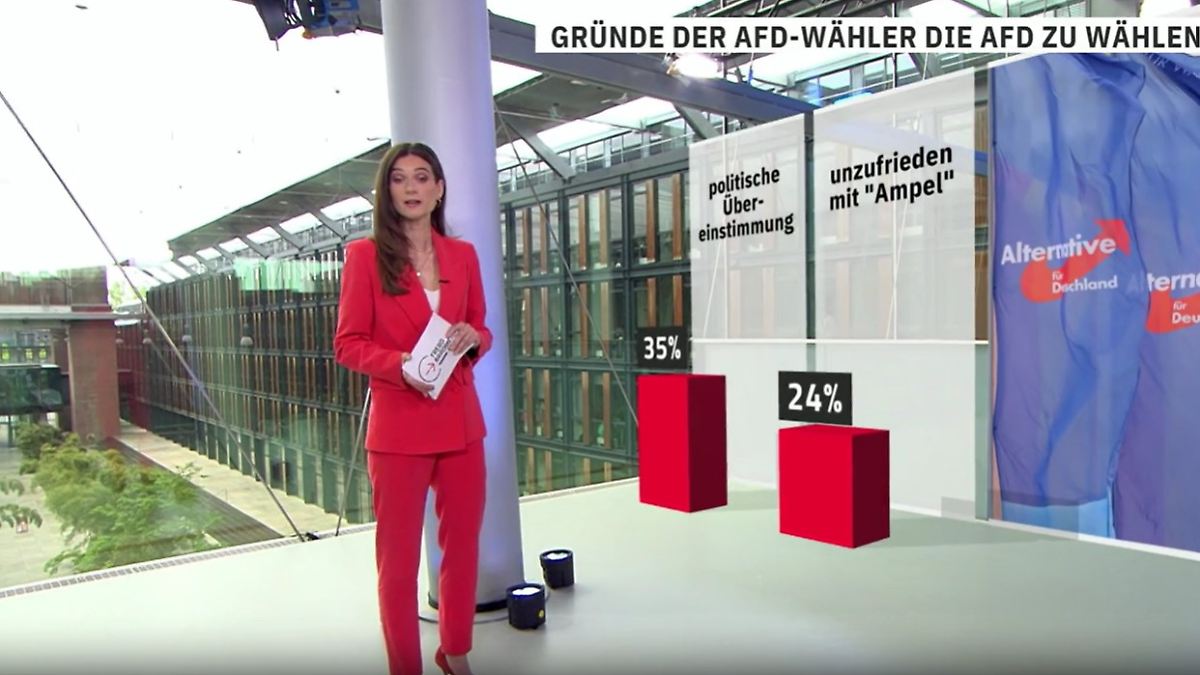 Noch zwölf Prozent mehr möglich?: Diese Haupt-Gründe treiben Wähler zur ...