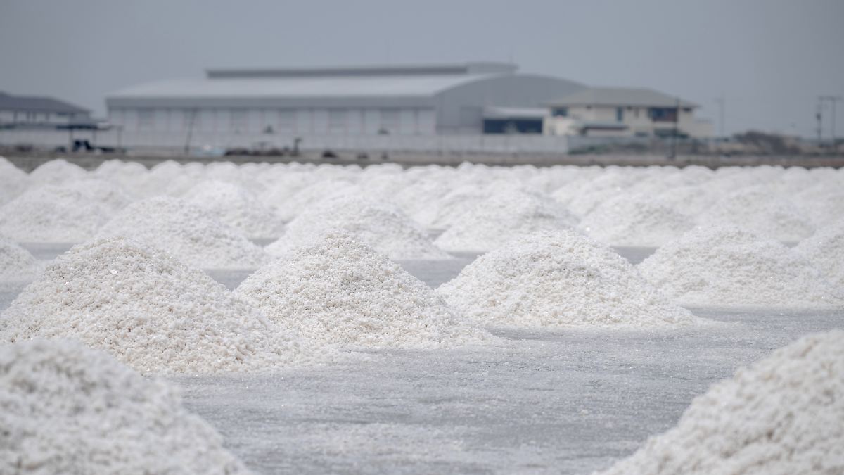 Steht der Natrium-Akku vor Durchbruch bei E-Autos?