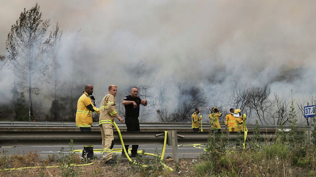 Italien und Kroatien helfen Israel im Kampf gegen Waldbrände