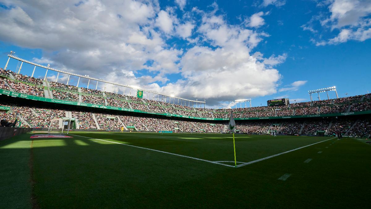 Spanischer Klub verbietet Konsum von Sonnenblumenkernen