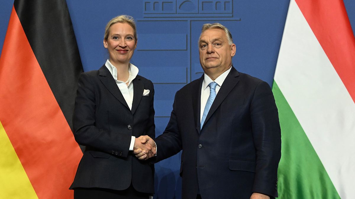 Orban: "Was zum Teufel ist in Deutschland los?"