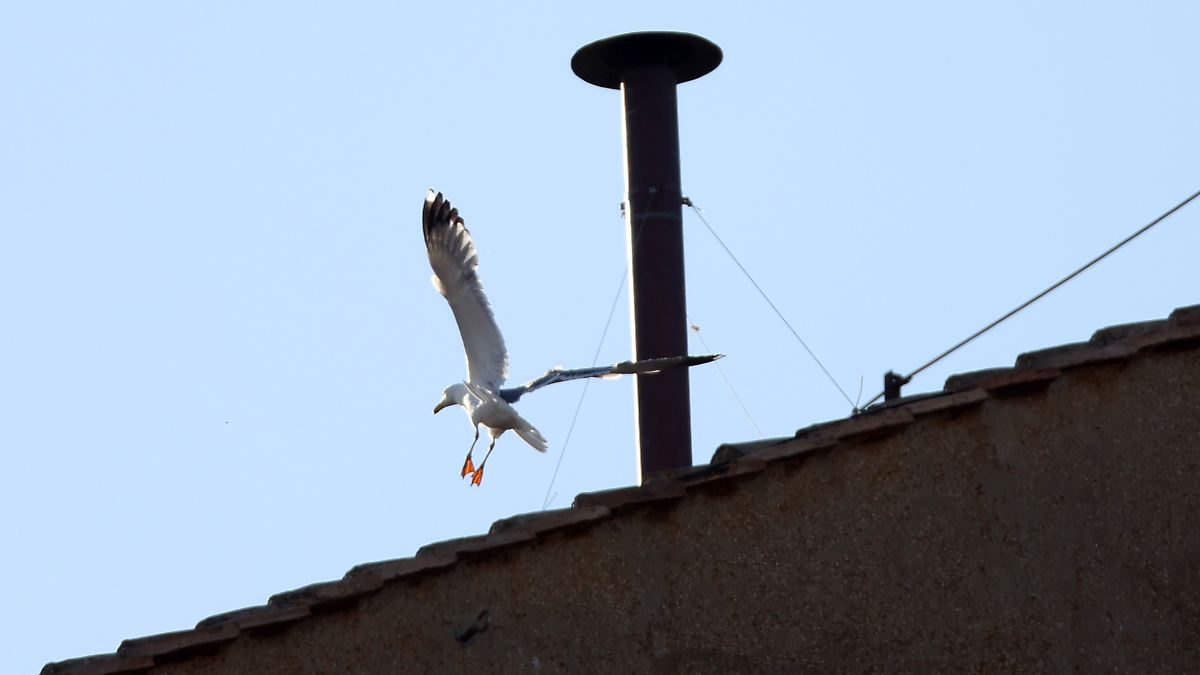 Schwarzer Rauch am Schornstein: Erster Wahlgang beim Konklave im Vatikan endet ergebnislos