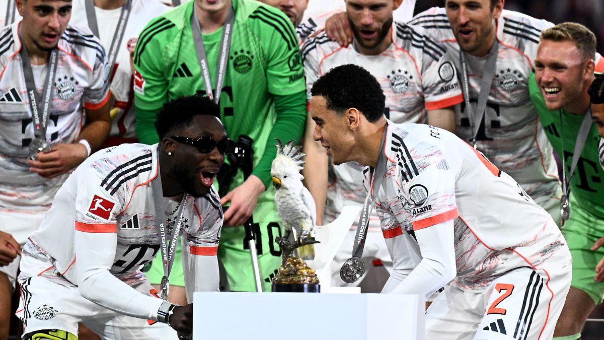 Kakadu-Gate beim FC Bayern: So geht's nach der Vogel-Entführung weiter