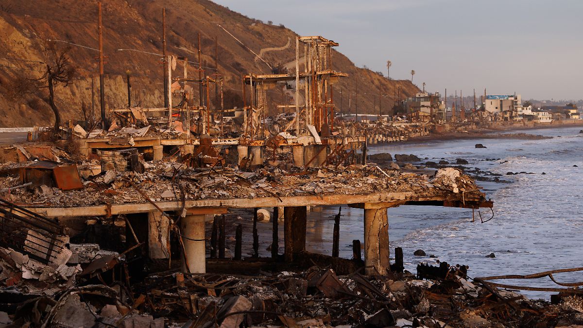 US-Waldbrände kosten Münchener Rück Milliardensumme