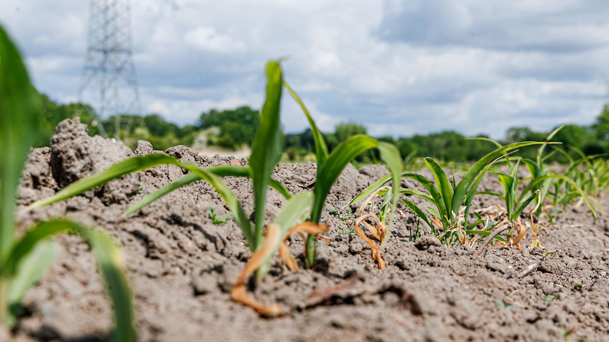 Es könnte der trockenste Frühling seit 1881 werden