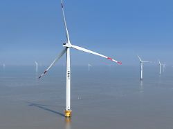 Fähre Borkum