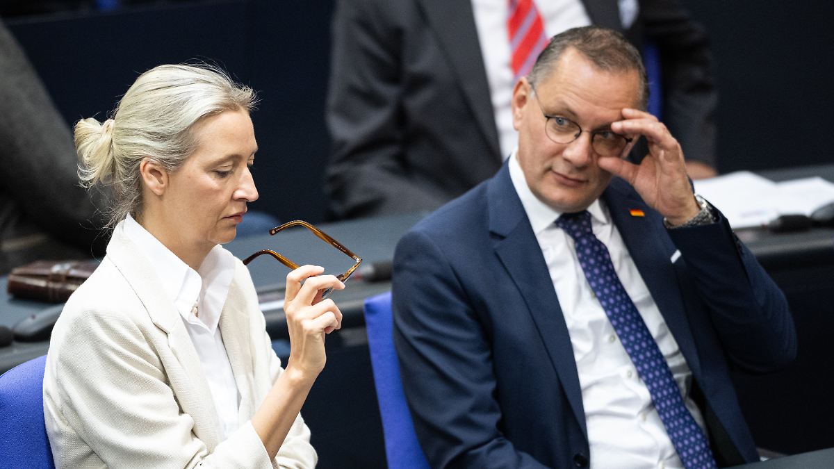 Das peinliche Trump-Dilemma der AfD