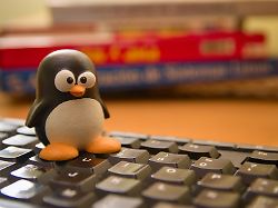Umsteigen leicht gemacht: Diese Linux-Varianten sind idealer Windows-10-Ersatz