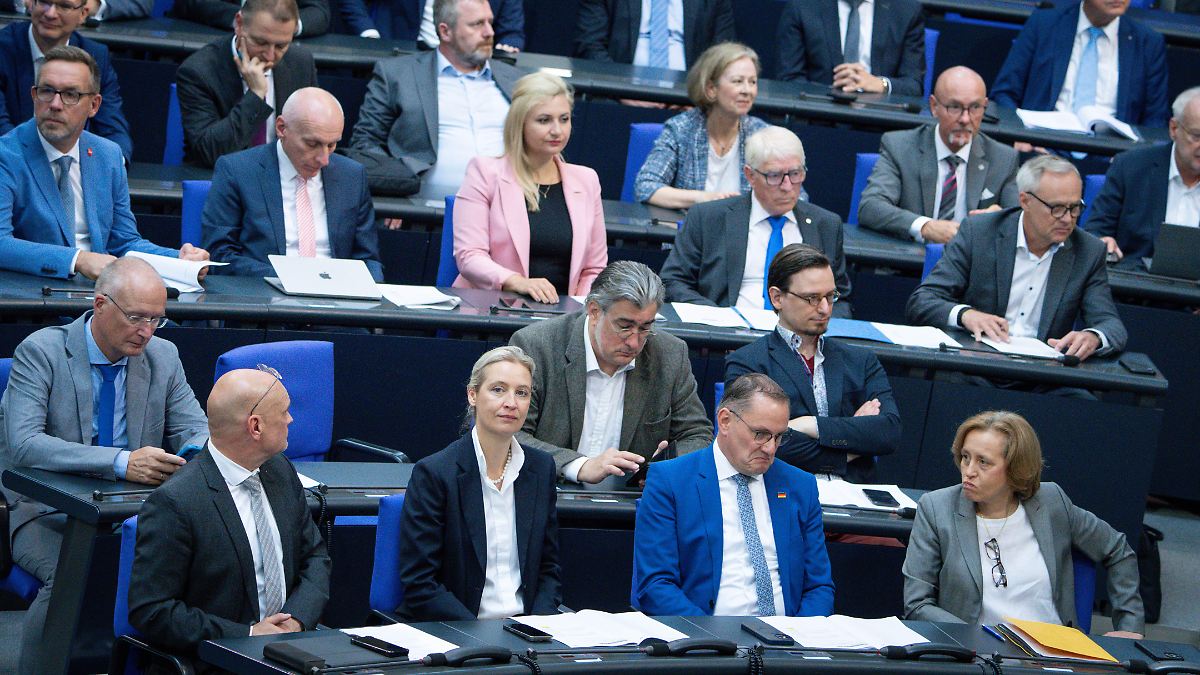 Basis for revenge justice?: AfD wants to hold ministers liable for waste