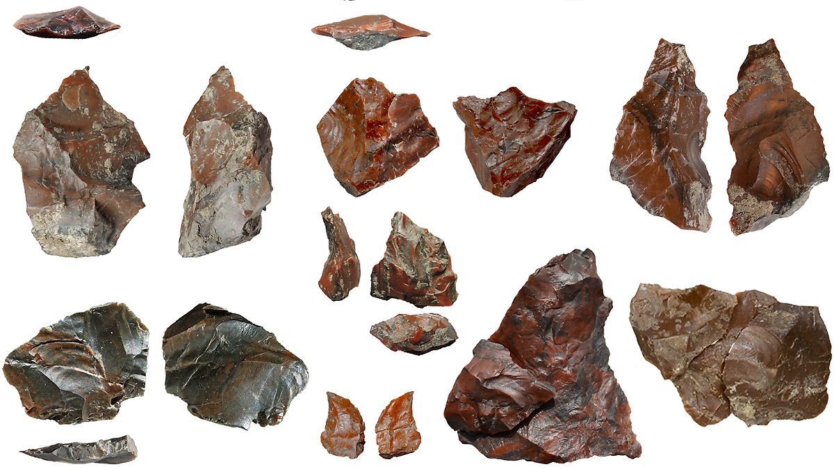 Steinwerkzeuge der ältesten bekannten Schlachterei entdeckt