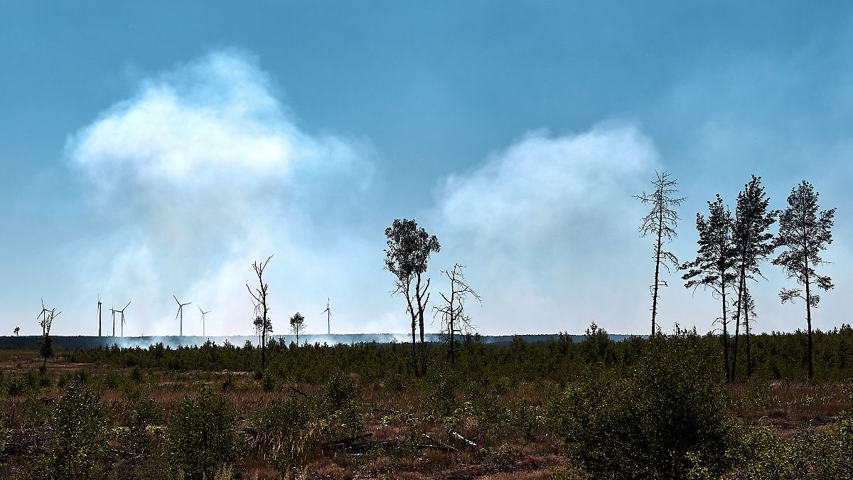 Waldbrände in Brandenburg ausgebrochen