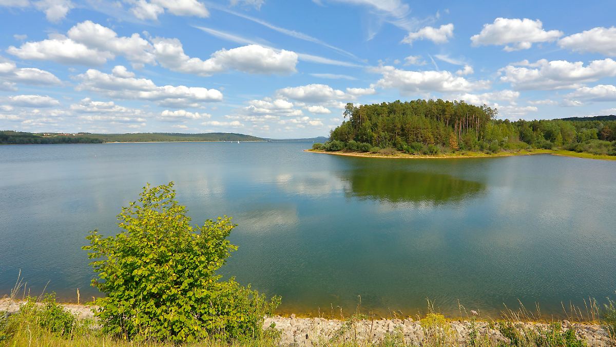 Erneuter Wels-Angriff im Brombachsee - Schwimmer verletzt