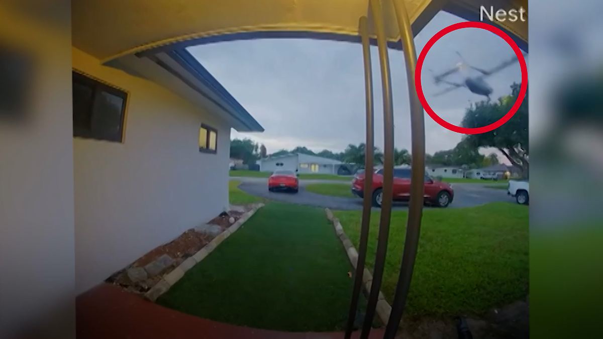 Residents rush to help immediately: Family crashes Cessna into tree in ...