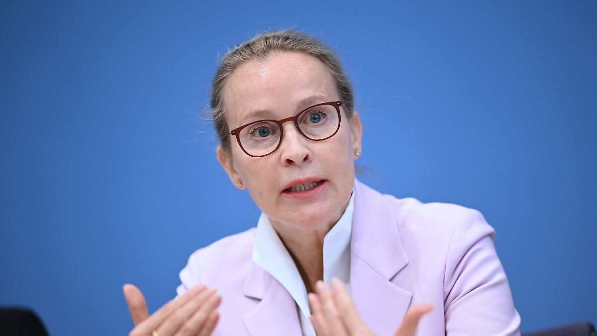 Kanzlei: Plagiatsvorwürfe gegen Brosius-Gersdof unbegründet