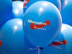 Keine wirkliche Problemlösung: Mehrheit in Umfrage lehnt AfD-Verbot ab