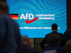 Gesichert rechtsextremistisch: Behörde: Brandenburger AfD verstößt gegen Menschenwürde und Verfassung