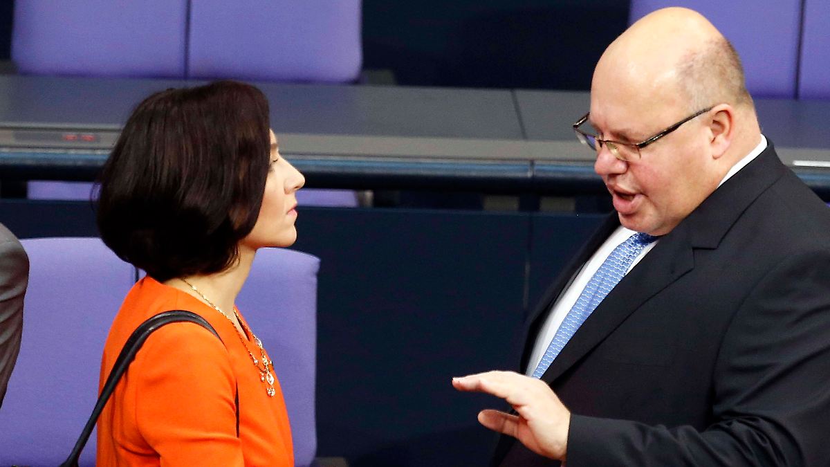 "Reiche weiß seit 20 Jahren, dass es ohne Gaskraftwerke geht"