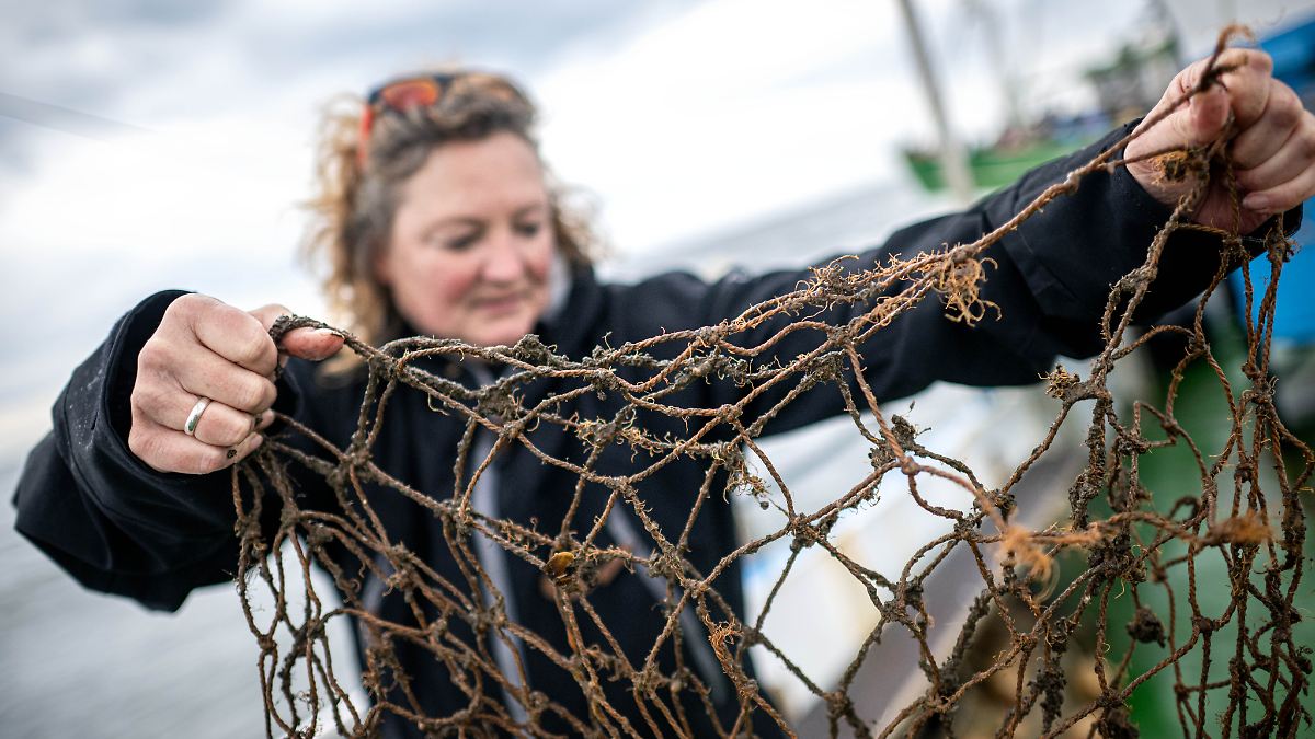 Wie Taucher am Grund der Nordsee nach Geisternetzen jagen