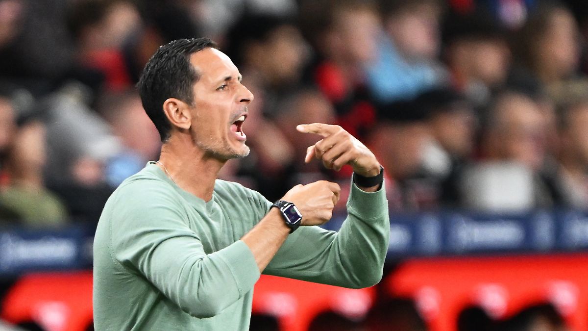 Bayern-Fragen nerven Frankfurts Trainer Toppmöller