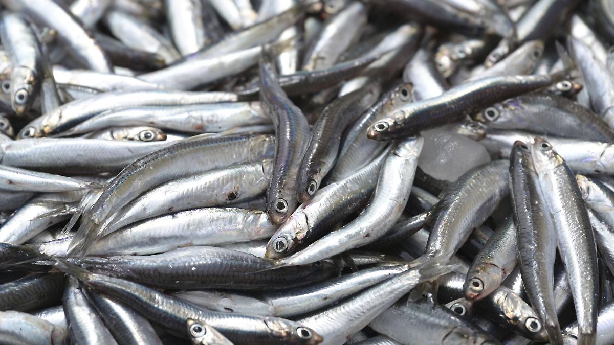 Sanriho's intriguing post