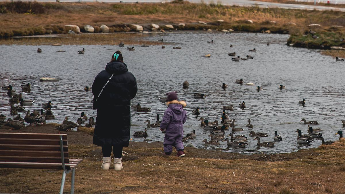 Was Dänemark jungen Grönländerinnen antat