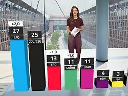 RTL/ntv-Trendbarometer: AfD erreicht neues Allzeithoch, Merz im Tief