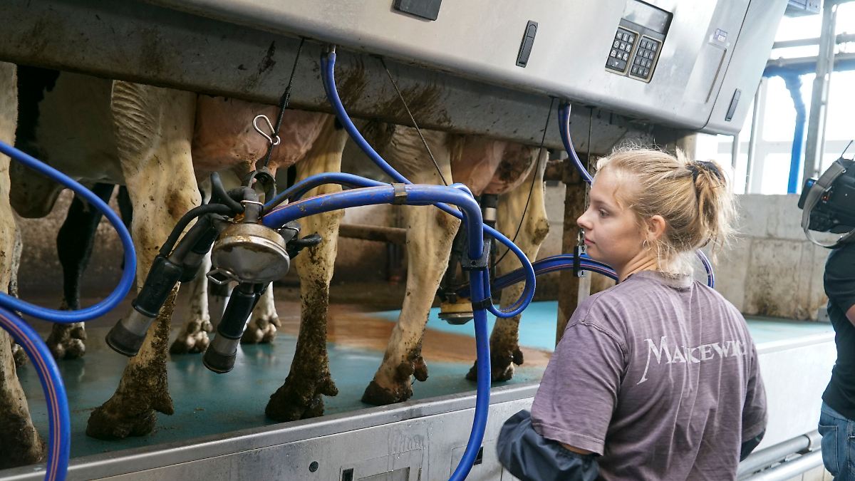 Deutsche Milchbauern warnen vor Milliardenverlusten