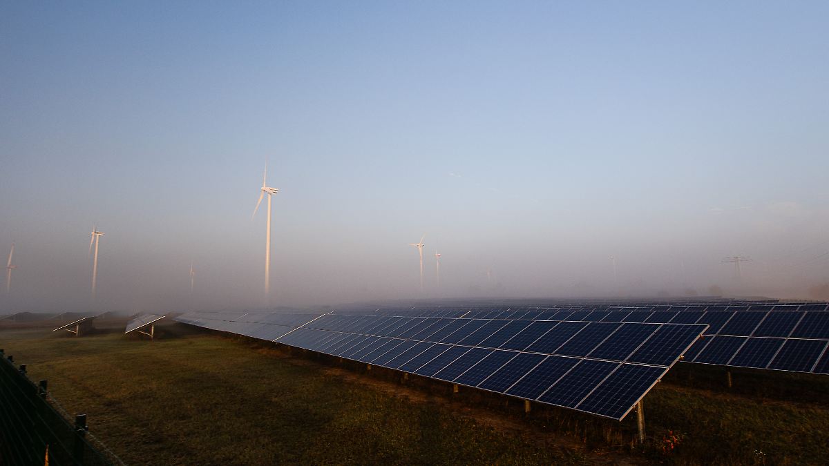 Deutschland meldet für 2024 Rekordsumme an Klimaschutzhilfen