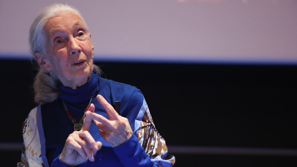Primatenforscherin Jane Goodall ist gestorben