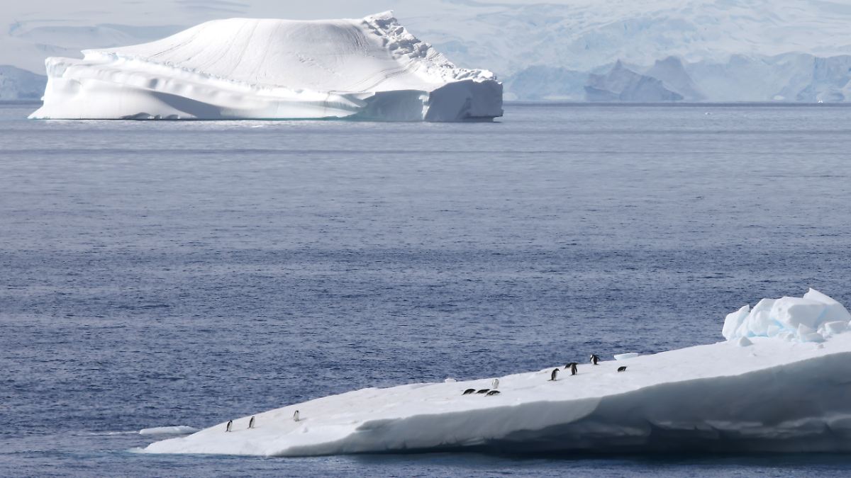 Antarktis bekommt Klimawandel stärker zu spüren, als befürchtet