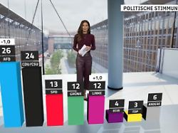 RTL/ntv-Trendbarometer: AfD büßt ein - aber Union kann nicht profitieren