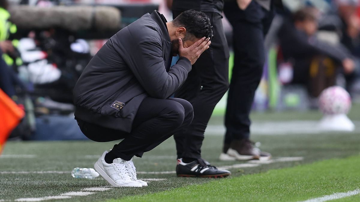 Sport-Thieme Bali Impander Widerstandstrainer - Herz-Kreislauf Training Ohne Schlaufen