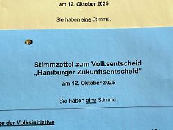 Bindender Volksentscheid: Hamburger stimmen für schärfere Klimaziele