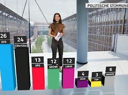 RTL/ntv-Trendbarometer: Merz rutscht weiter ab - AfD hält Abstand auf Union