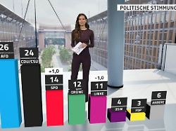 RTL/ntv-Trendbarometer: Schwacher Merz punktet leicht - aber AfD bleibt vorn
