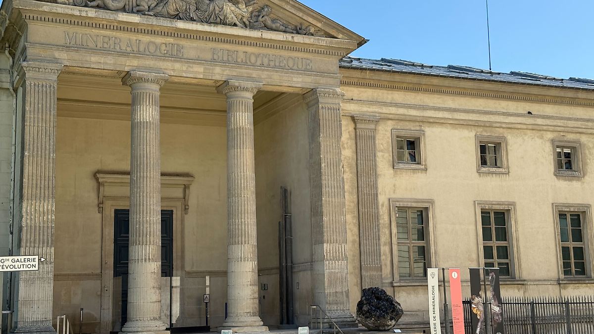Young woman charged with stealing gold nuggets from Paris Natural History ...